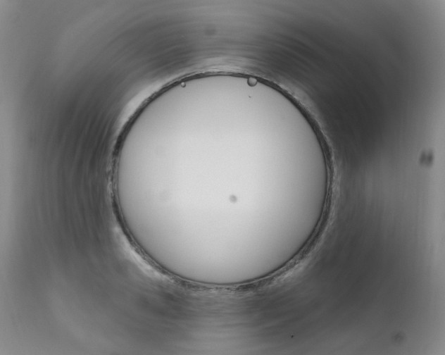 X0000111020941200906191227