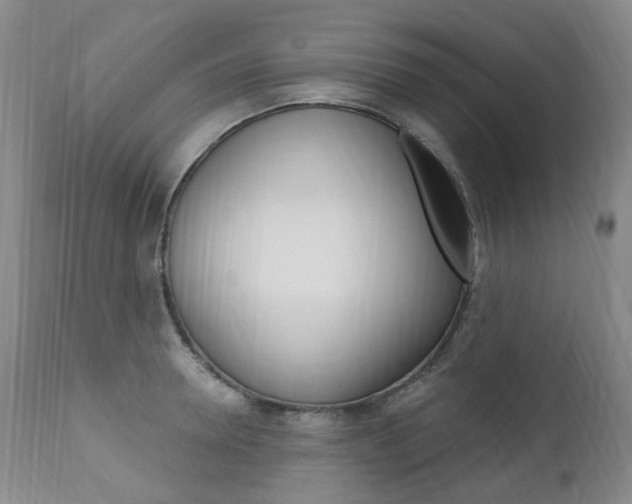 X0000111020946200906191227