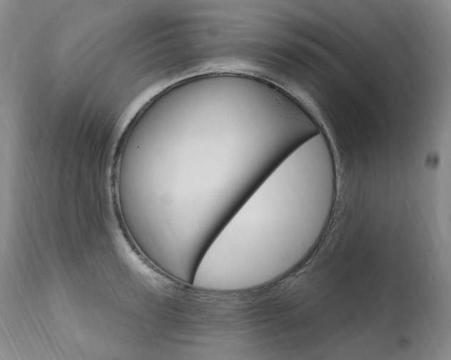 X0000111020947200906191227