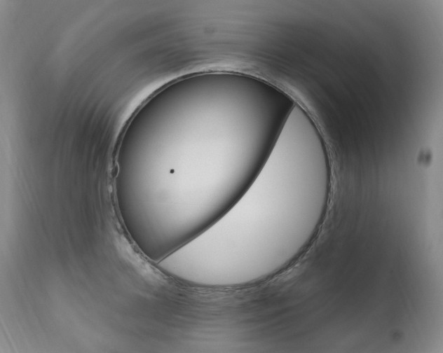 X0000111020948200906191227