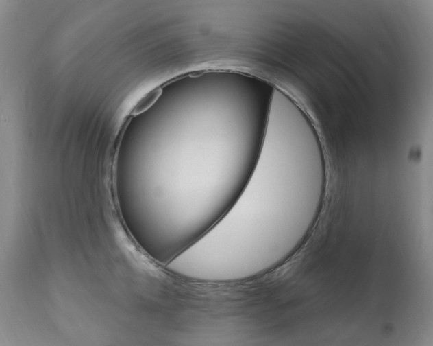 X0000111020952200906191227