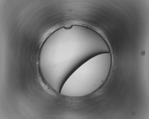 X0000111020954200906191227