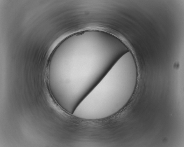 X0000111020955200906191227