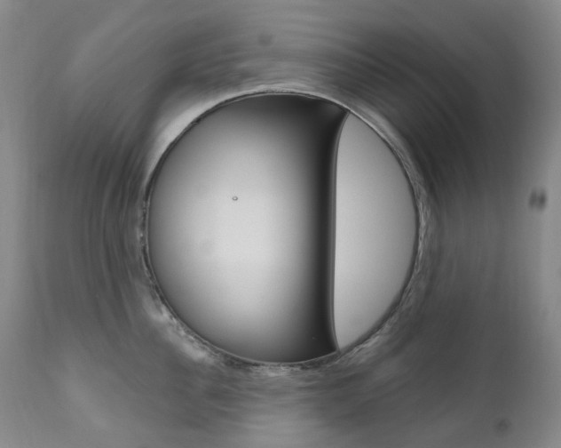 X0000111020956200906191227
