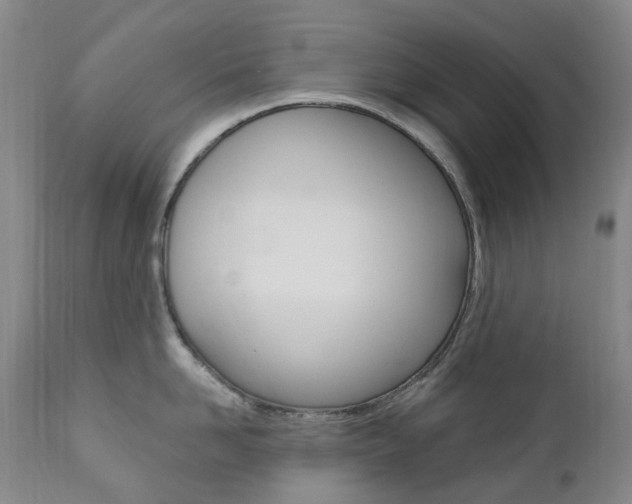X0000111020958200906191227