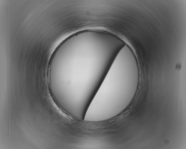 X0000111020959200906191227