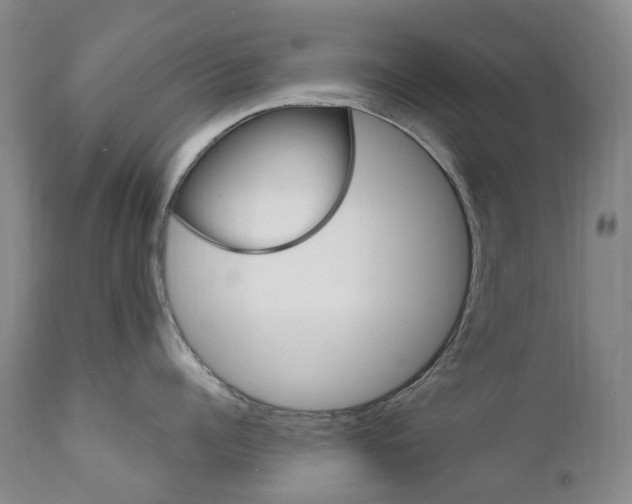 X0000111020960200906191227