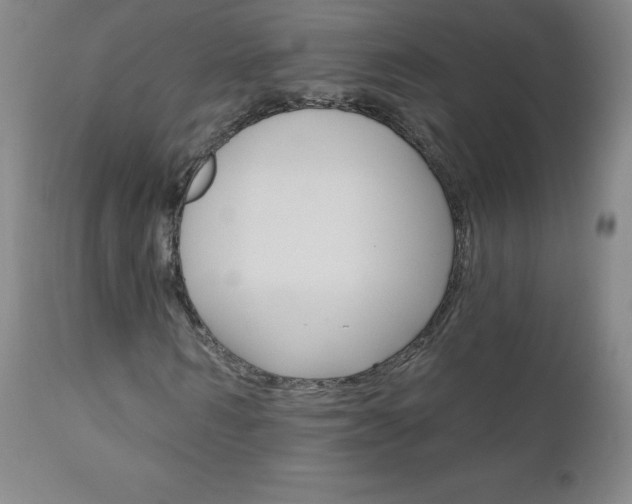 X0000111020962200906191226