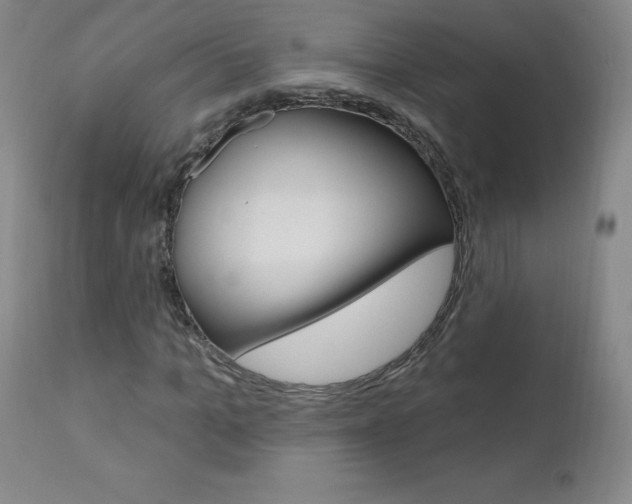 X0000111020965200906191226