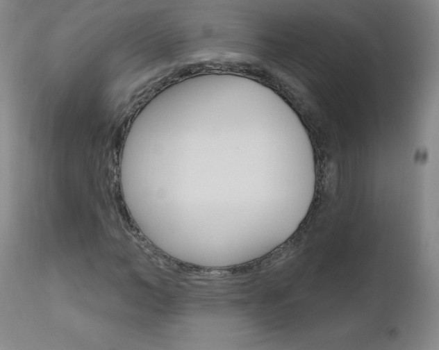 X0000111020966200906191226