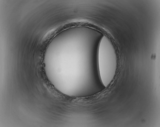 X0000111020967200906191226