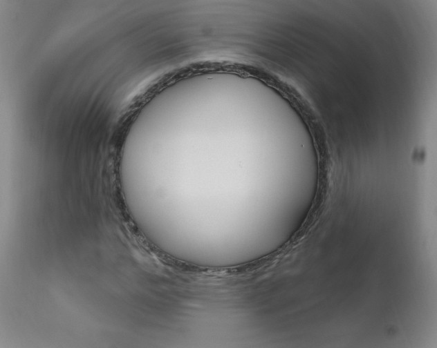 X0000111020968200906191226