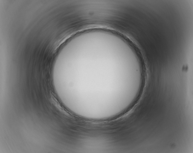 X0000111020969200906191226