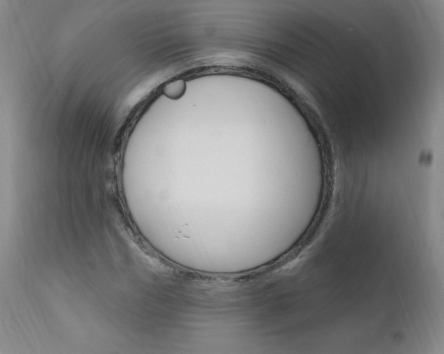 X0000111020970200906191226