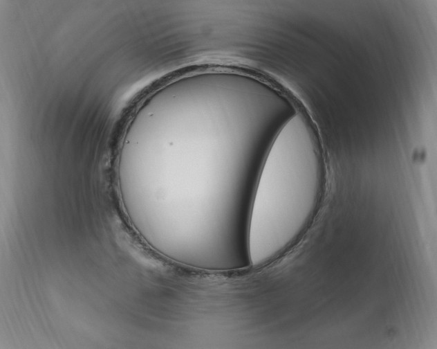 X0000111020971200906191226