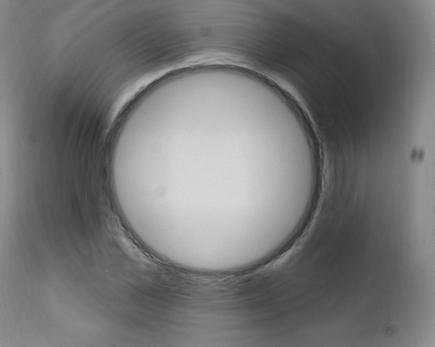 X0000111020973200906191226