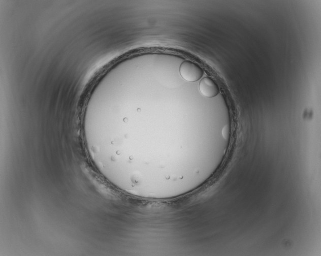 X0000111020974200906191226