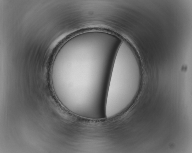 X0000111020975200906191226