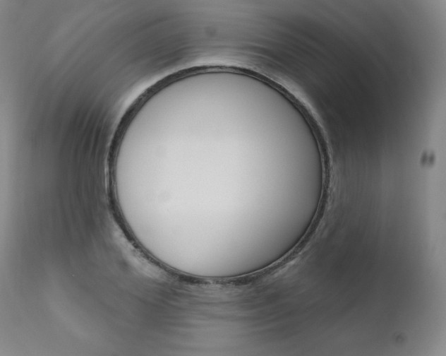 X0000111020980200906191226