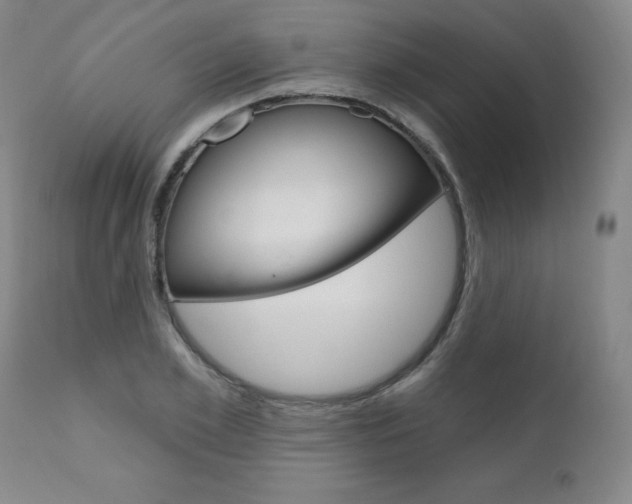 X0000111020981200906191226