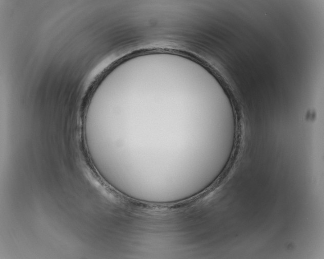X0000111020982200906191226