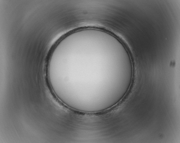 X0000111020983200906191226