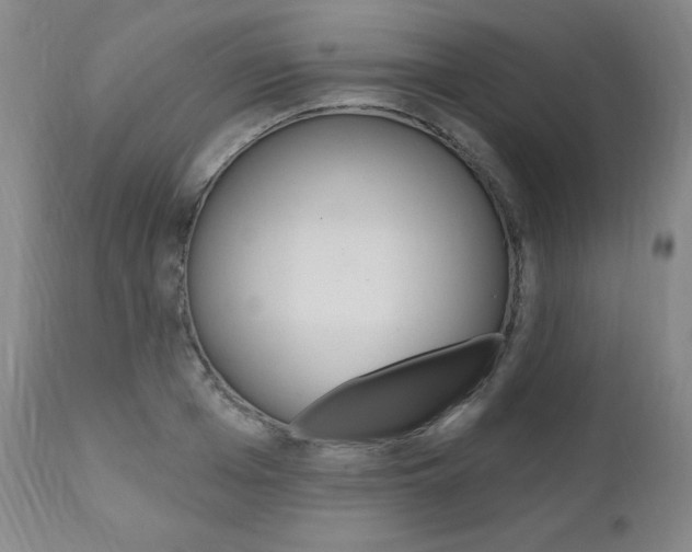 X0000111020985200906191226