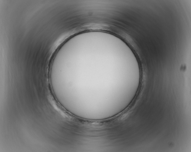 X0000111020986200906191226
