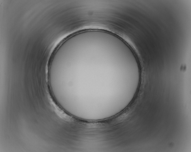 X0000111020988200906191226