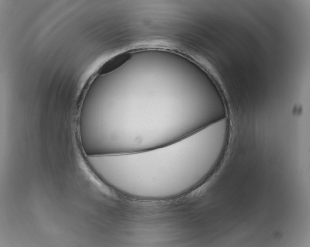 X0000111020989200906191226