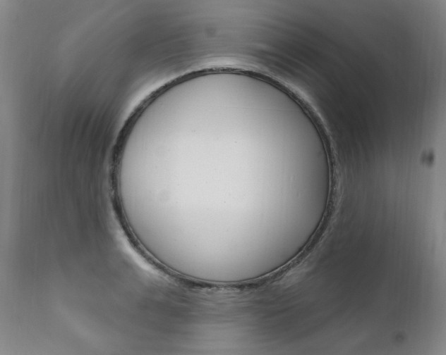 X0000111020991200906191226