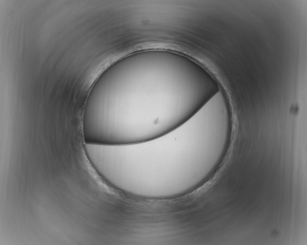 X0000111020993200906191226