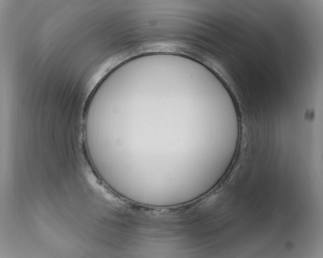 X0000111020994200906191226