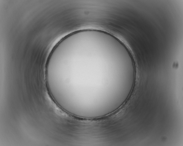 X0000111020996200906191226