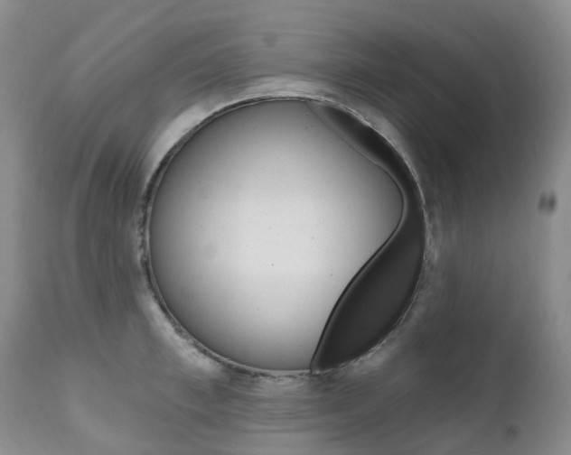 X0000111020997200906191226