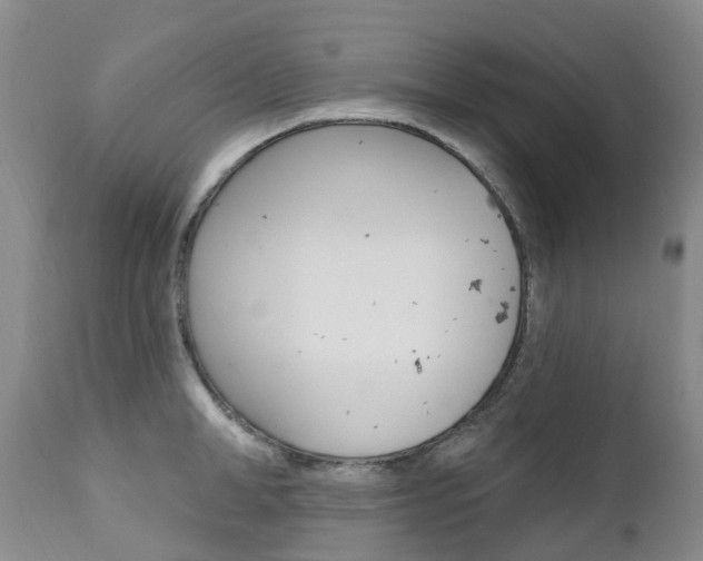 X0000111020998200906191226
