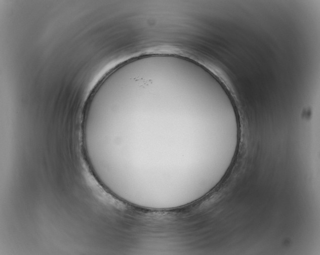 X0000111021000200906191226
