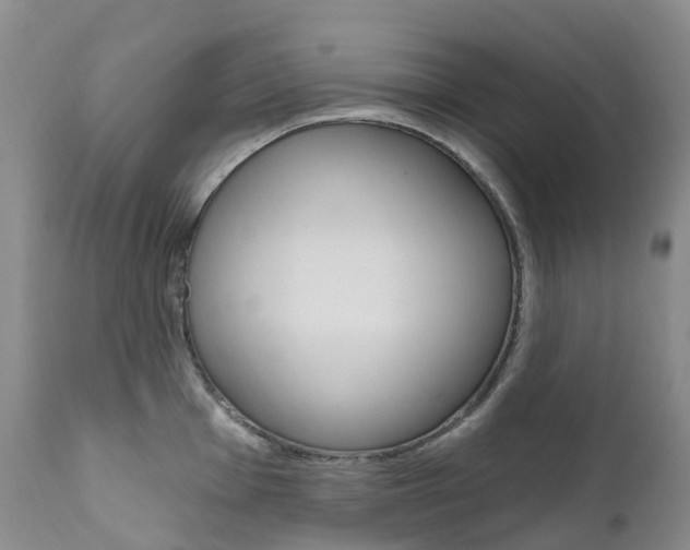X0000111021001200906191226