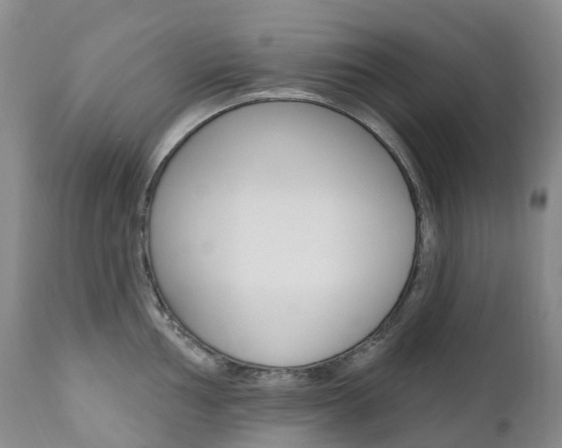 X0000111021002200906191226