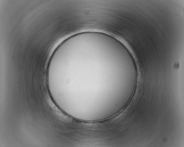 X0000111021004200906191226