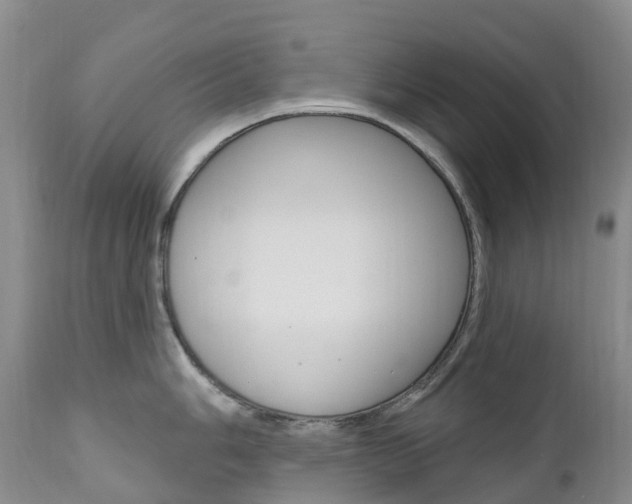 X0000111021006200906191226