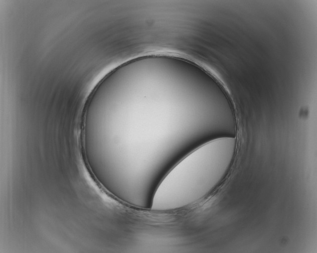 X0000111021007200906191226