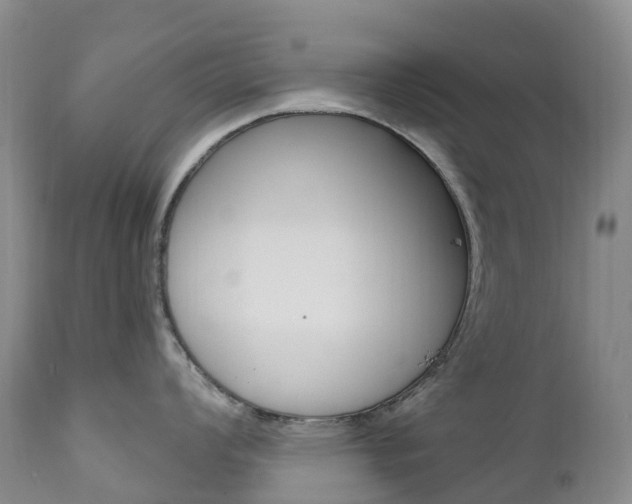 X0000111021008200906191226