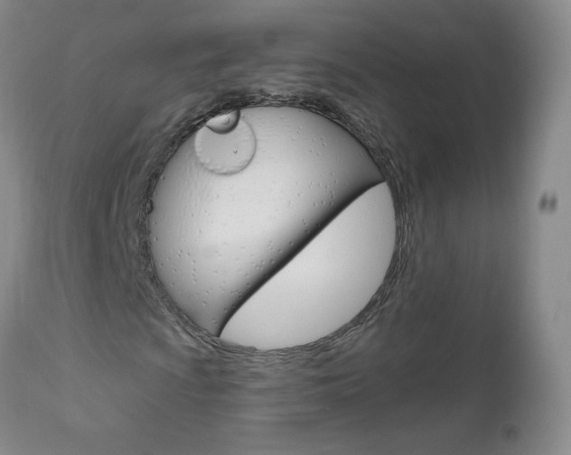 X0000111021009200906191225