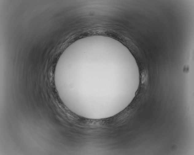 X0000111021011200906191225