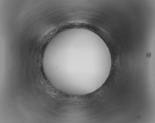 X0000111021014200906191225