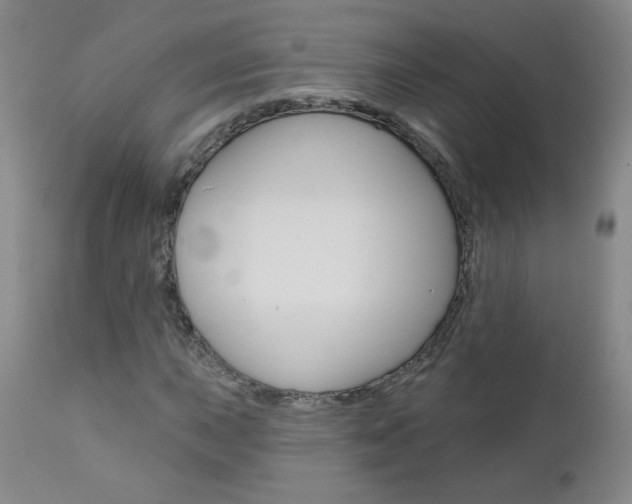 X0000111021015200906191225