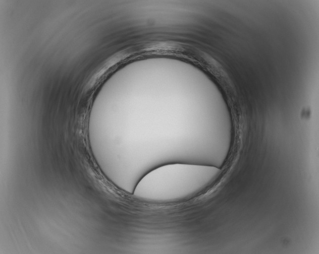 X0000111021017200906191225