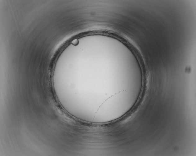 X0000111021021200906191225