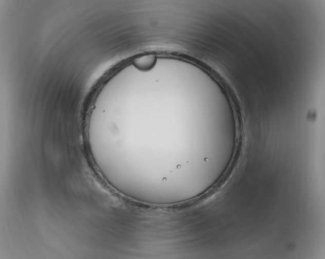 X0000111021022200906191225